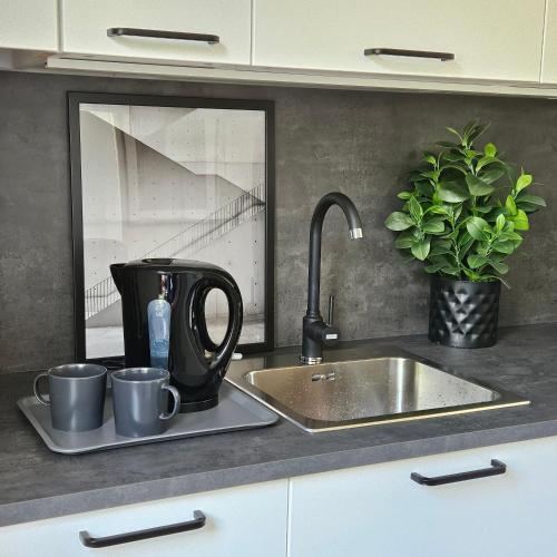 Apartament Studzienna