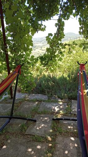 B&B Lavanda e Rosmarino