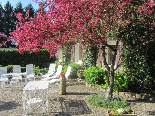 Domaine De La Carrauterie