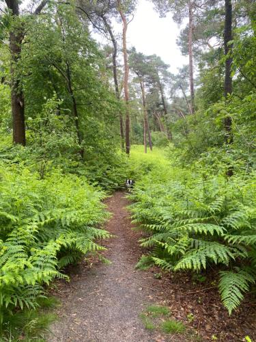 Holiday home Giethmen in Buurtschap Giethmen