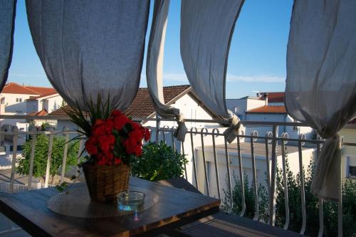 Apartments Anita Frane