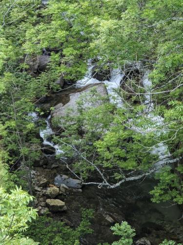 A környék, Le lys de la vallée (Le lys de la vallee) in Juvinas