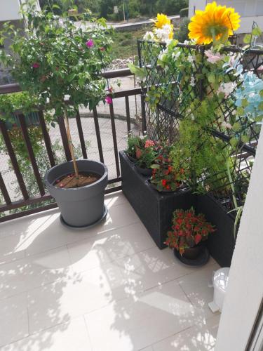 Apartmani Liberan - image 14