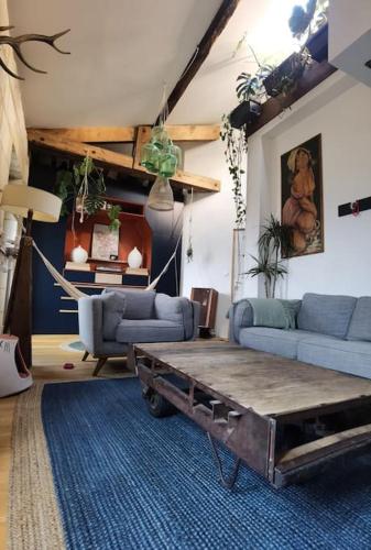 Duplex atypique et chaleureux, hyper centre, Bordeaux (Foto 8)