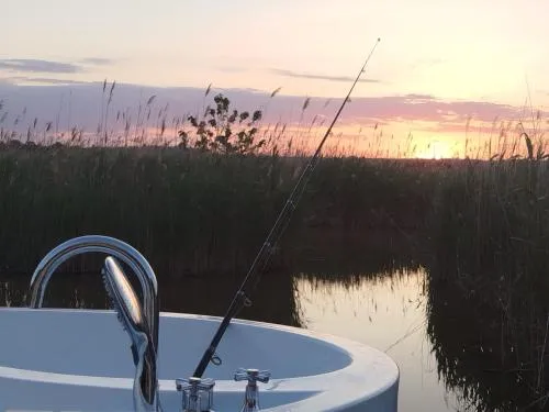 Pfahlbau Sunset II Toplage inklusive Elektroboot in Rust, Österreich