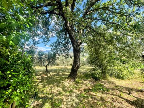 Spoleto Tranquilita - A sanctuary of dreams and peace