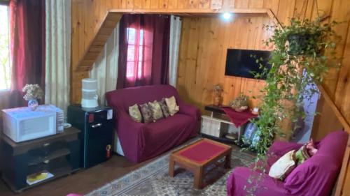 kawasan lounge/TV kongsi, Suíte Aconchegante (Suite Aconchegante) in Campos Do Jordao