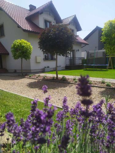 Zielony Apartament