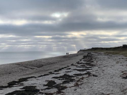 Apkārtne, Ferienhaus Ostseeblick Kraksdorf-Strand fast direkt am Ostseestrand in Neukirchen (Schleswig-Holstein)