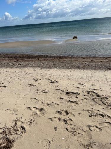 Apkārtne, Ferienhaus Ostseeblick Kraksdorf-Strand fast direkt am Ostseestrand in Neukirchen (Schleswig-Holstein)