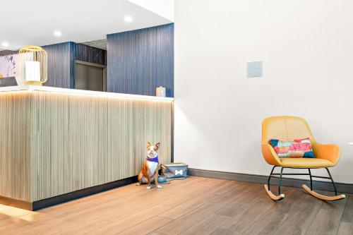 Lobi, Spark by Hilton Hummelstown Hershey in Hershey (PA)