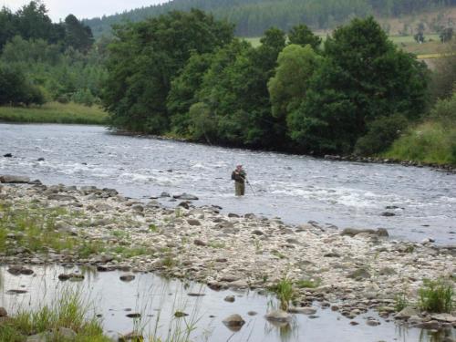 Willowbank - main image