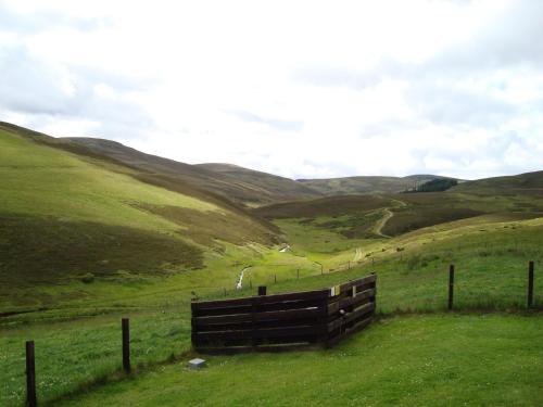 Willowbank - image 13