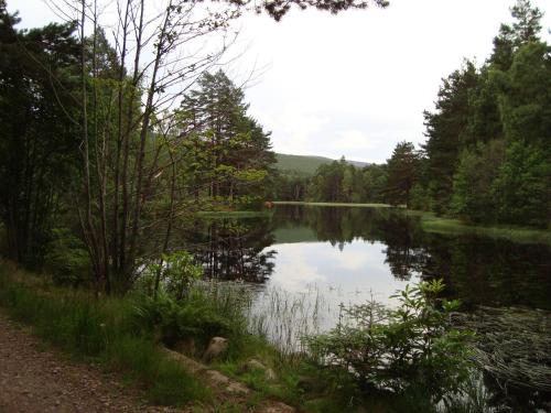 Willowbank - image 7