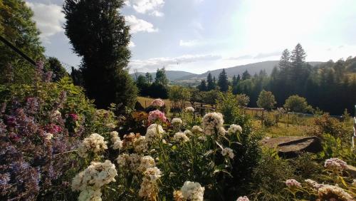 Agroturystyka ''Na Polanie''