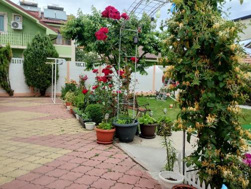 Casa Georgeta 2 Mai-Punct Gastronomic Local-AROME DOBROGENE
