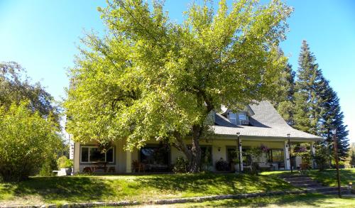 Mount Shasta Ranch Bed and Breakfast - 출입구