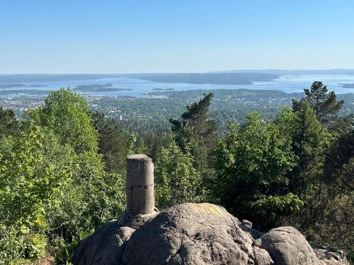 Hallingstua, Oslo (foto 9)