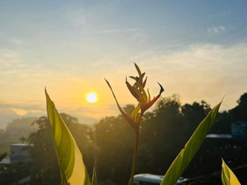 Mộc An Hill Mộc An Hill