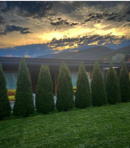 Alexandar studio apartman - Apartment - Mokra Gora