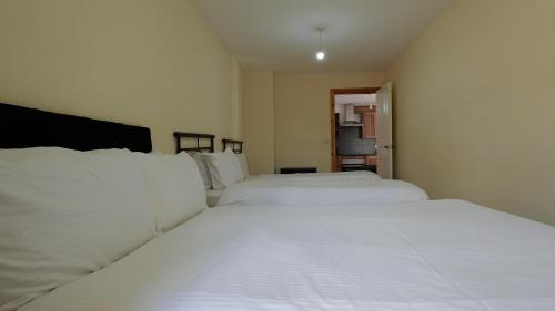 The Serenity Apartment, Manchester (foto 7)