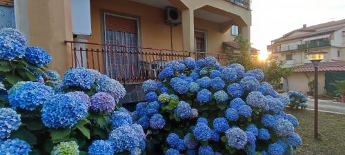  Appartamento Napoli Pompei Sorrento Positano con Posto Auto in Gragnano