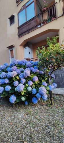  Appartamento Napoli Pompei Sorrento Positano con Posto Auto in Gragnano
