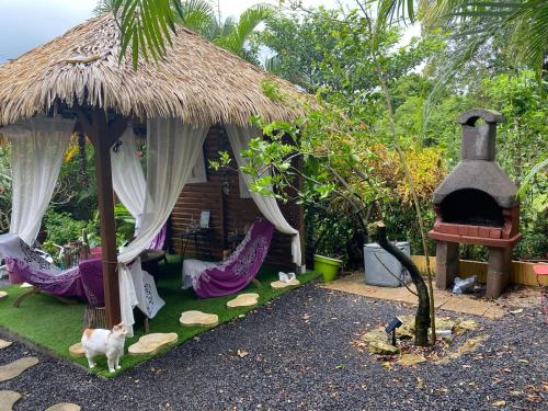 Cơ sở vật chất, Joli gîte au calme dans un écrin de verdure (Joli gite au calme dans un ecrin de verdure) in Sainte Anne