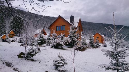 المنطقة المحيطة, Kozichky Guest House in Selo Tatariv