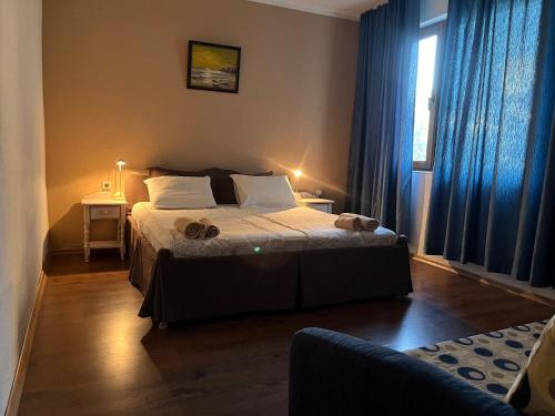 Paunovi Guest House in Primorsko