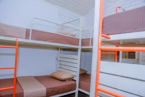 1 bunk bed