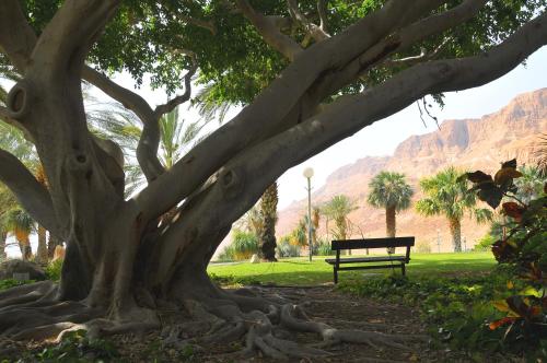 Ein Gedi Kibbutz Hotel