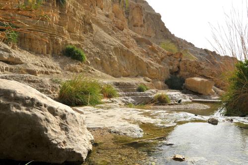 Ein Gedi Kibbutz Hotel