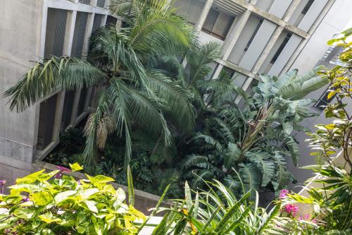 Stunning 1Bed Surry Hills Balcony Apt w Parking - image 10