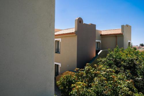 One-Bedroom Apartment image 10