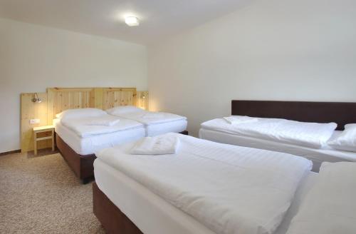 Horský hotel Žižkova bouda