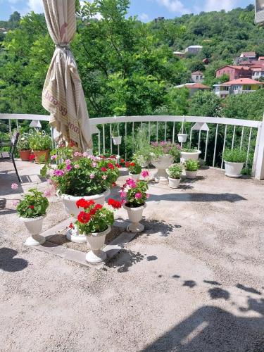 Sighnaghi Central in Signali