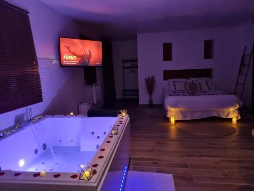 Evasion Romantique suite de luxe jacuzzi jardin privé proche Paris (Evasion Romantique suite de luxe jacuzzi jardin prive proche Paris) in Saint-Prix (Ile-de-France)