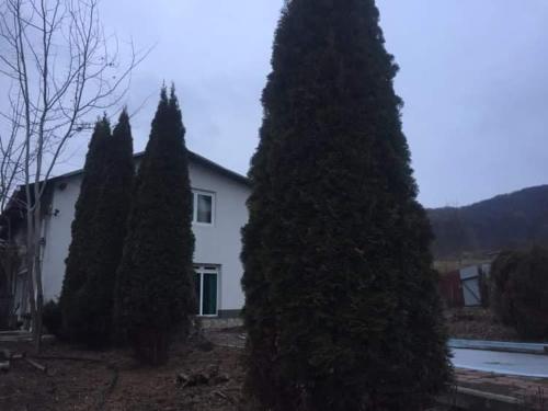 Casa Din Deal in Gârleni