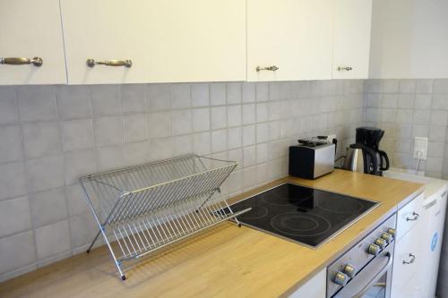 2 room apartment near station Neustadt in Dresden Neustadt, Drážďany (fotografie 6)