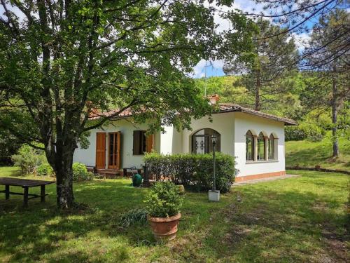 Immersa nel verde e nel silenzio