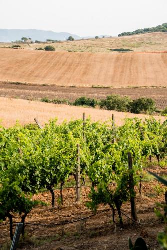 Agriturismo Rascioni & Cecconello 4