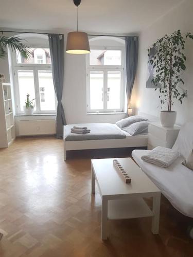 Studio in Dresden Neustadt Louisenstraße, Dresden (Foto 3)
