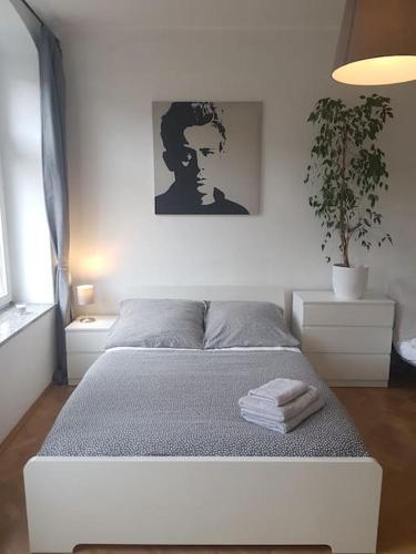 Studio in Dresden Neustadt Louisenstraße, Dresden (Foto 11)