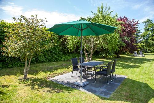 Silbermowe in Fehmarn