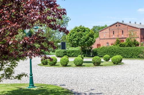 Silbermowe in Fehmarn