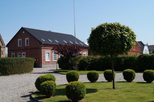 Silbermowe in Fehmarn