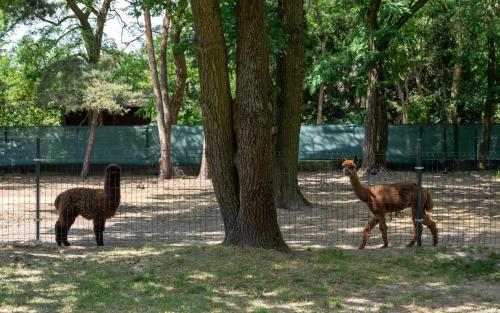 Centrum Szkoleniowo-Konferencyjne - image 12