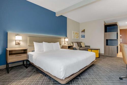 Comfort Suites Chesapeake - Norfolk - image 2