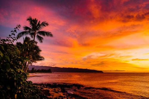 Charming Beach Apartment Your Hawaiian Getaway in Pupukea (HI)